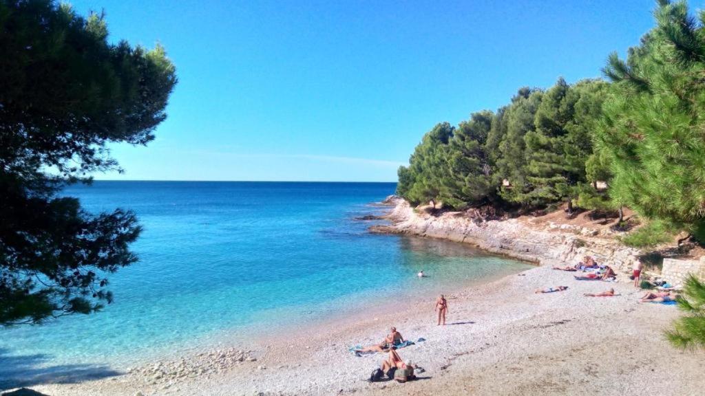 Villa Valkane Pet Friendly 150M From The Stunning Valkane Beach, City Indoor Pools-Fitness And City Mall Pula Exterior foto